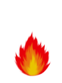 ���� ����